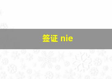 签证 nie